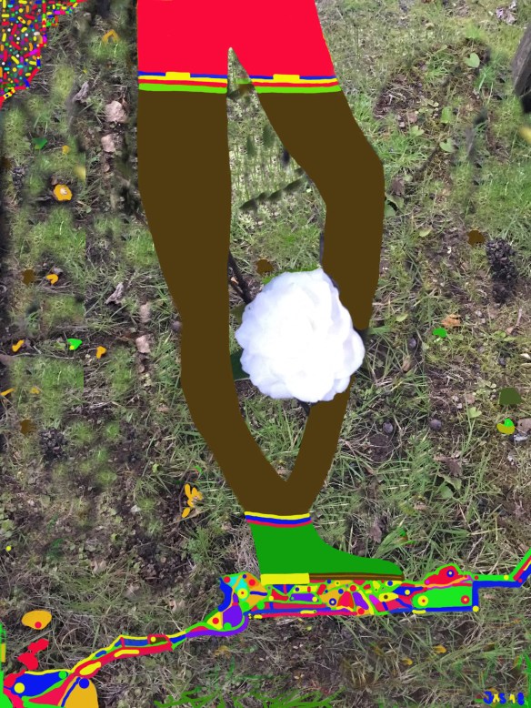 Jas_Camélia2904_FinalDomingo8_30jpg