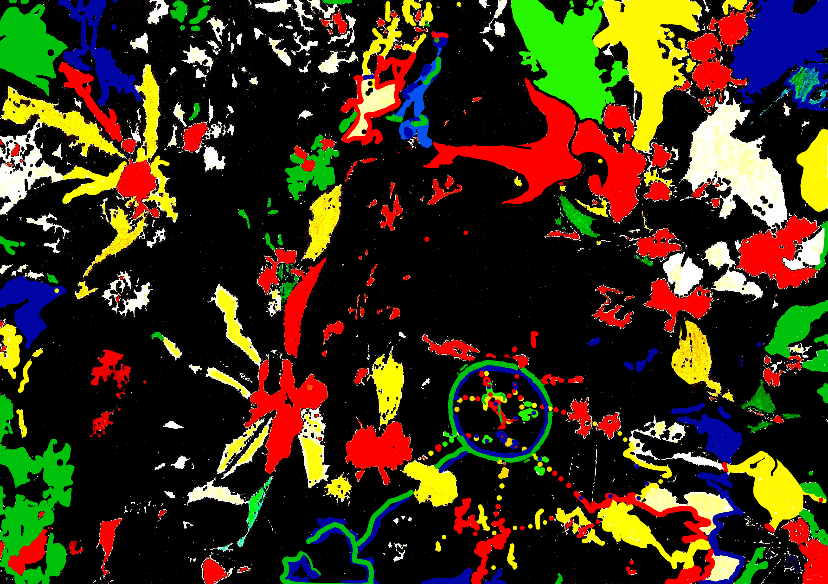 JAS_Uccello_Prova110418