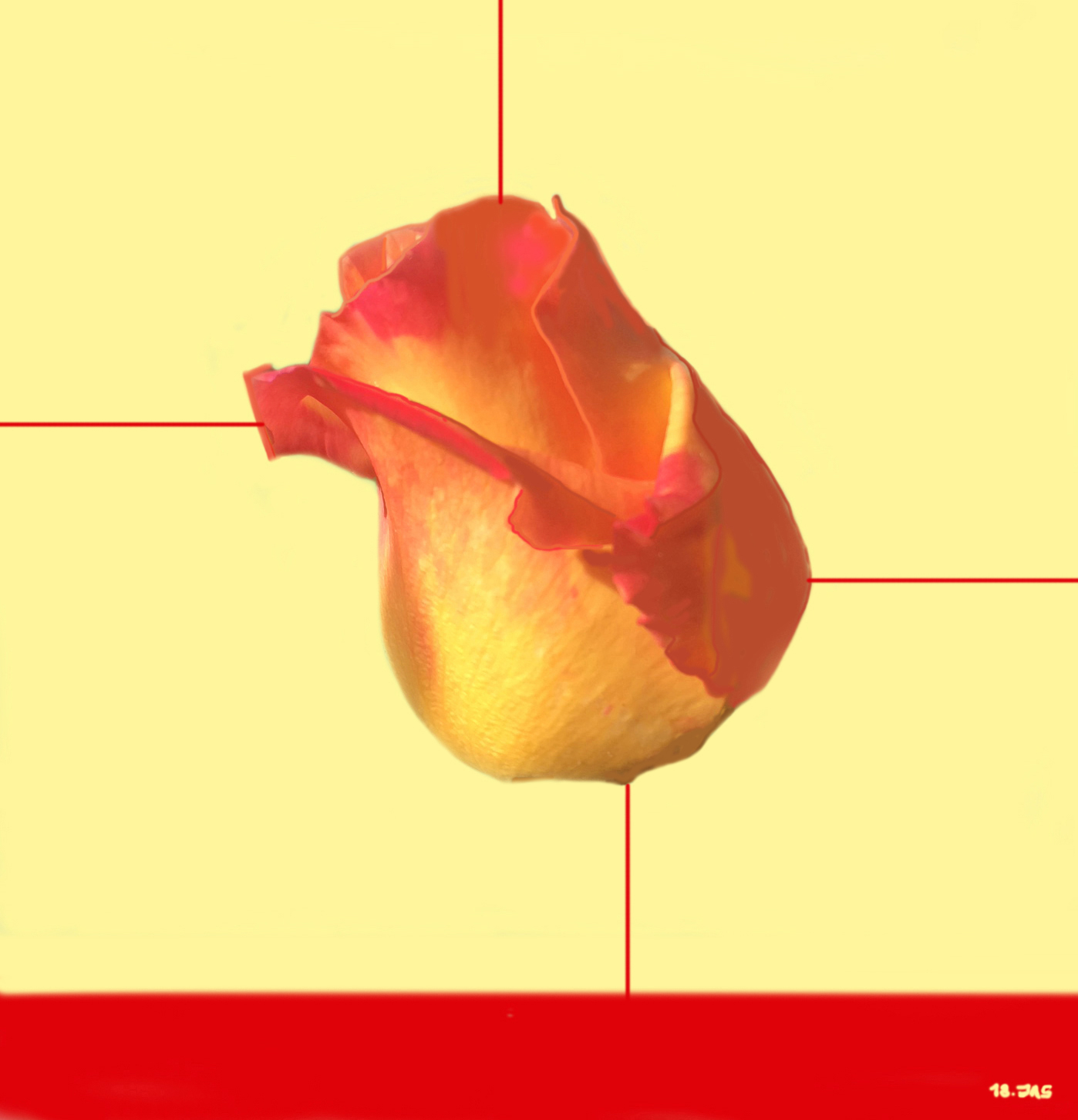 Botao200518Terminad3