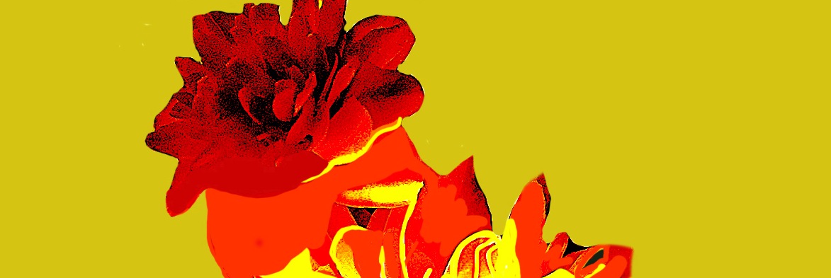 Flores130518_Final13_1recorte2