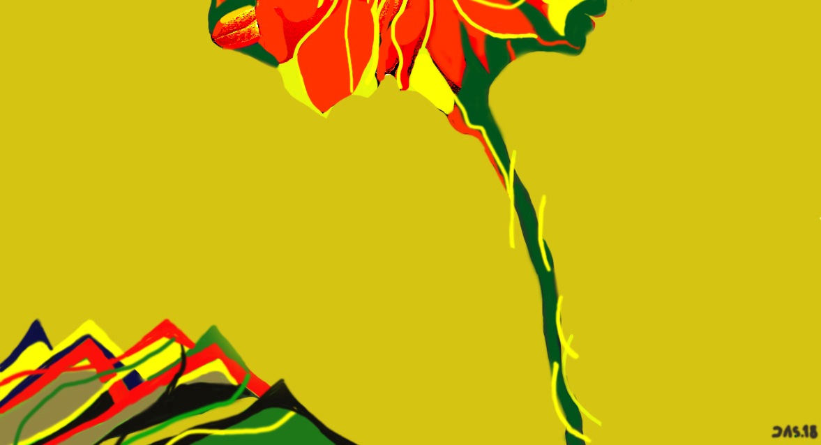 Flores130518_Final13_2Recorte