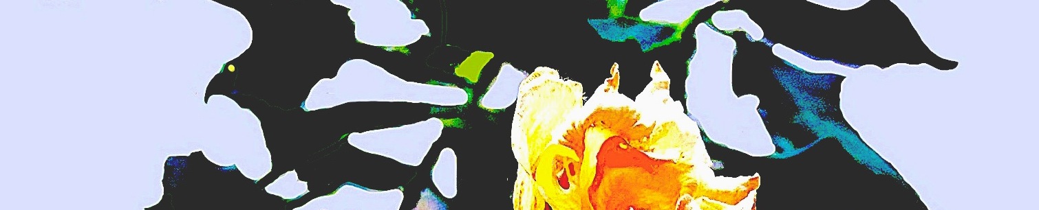 Sonho0805060518_Corte2