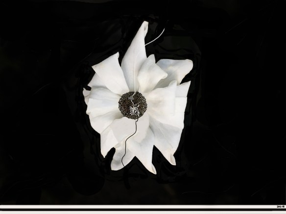 Desenho_BranconoNegroRecorte