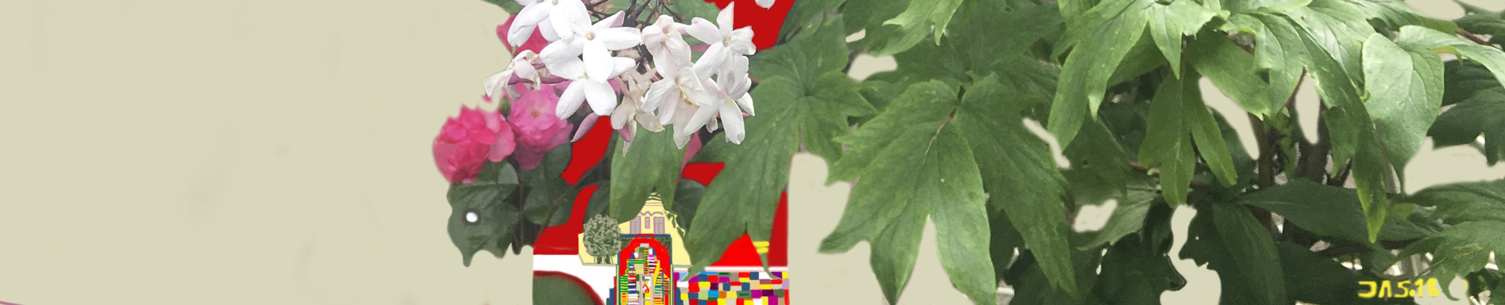 UmaCasaNoJardim_3_1006corte1