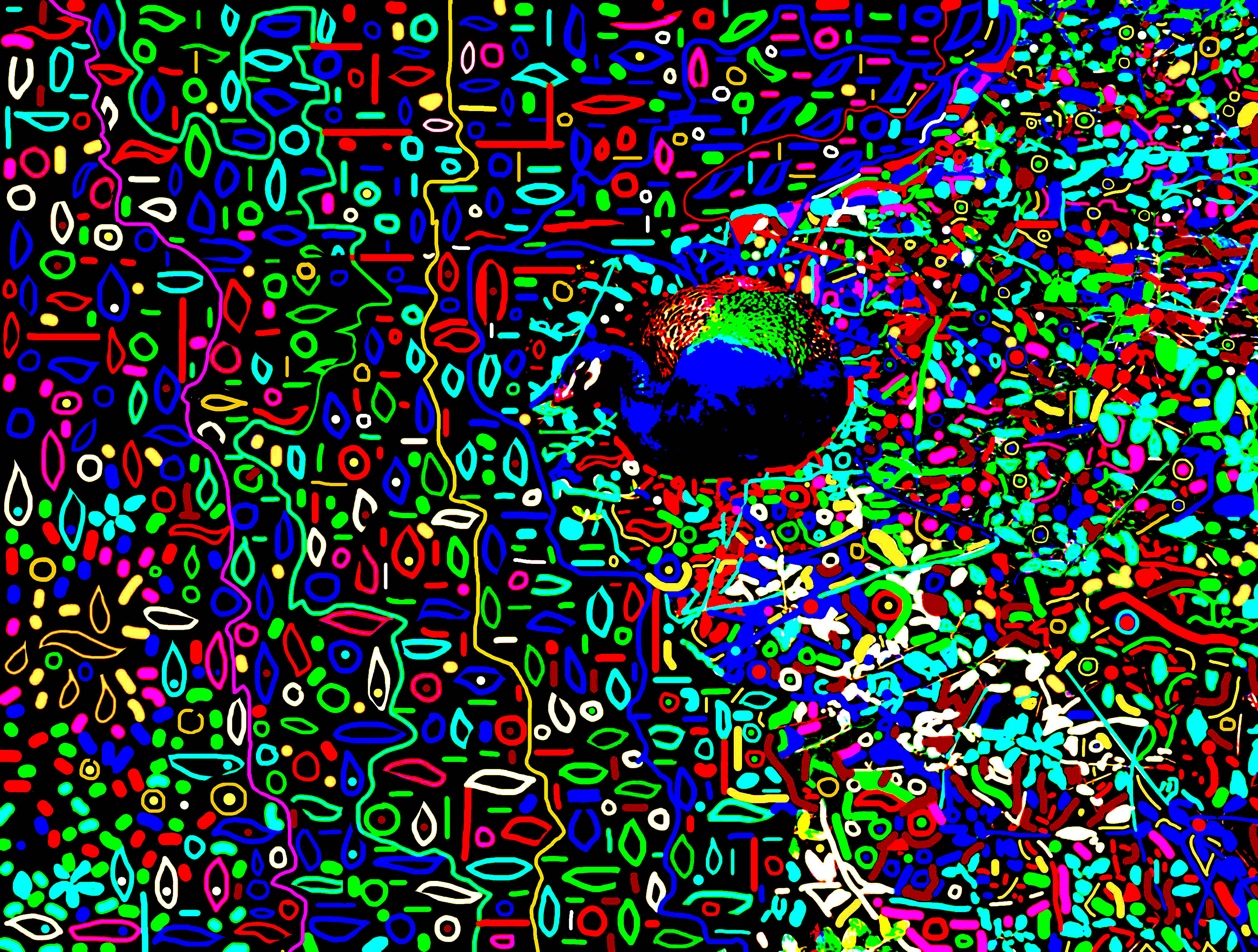 Pavão4JPGCorExp.2211