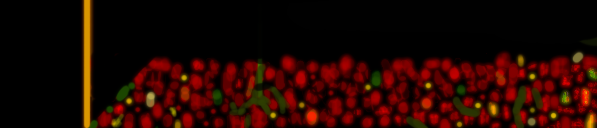 Anoiteceu24_02_19FinalAcabouR