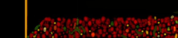 Anoiteceu24_02_19FinalAcabouR