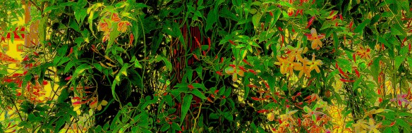 P5100319FinalTrabRec