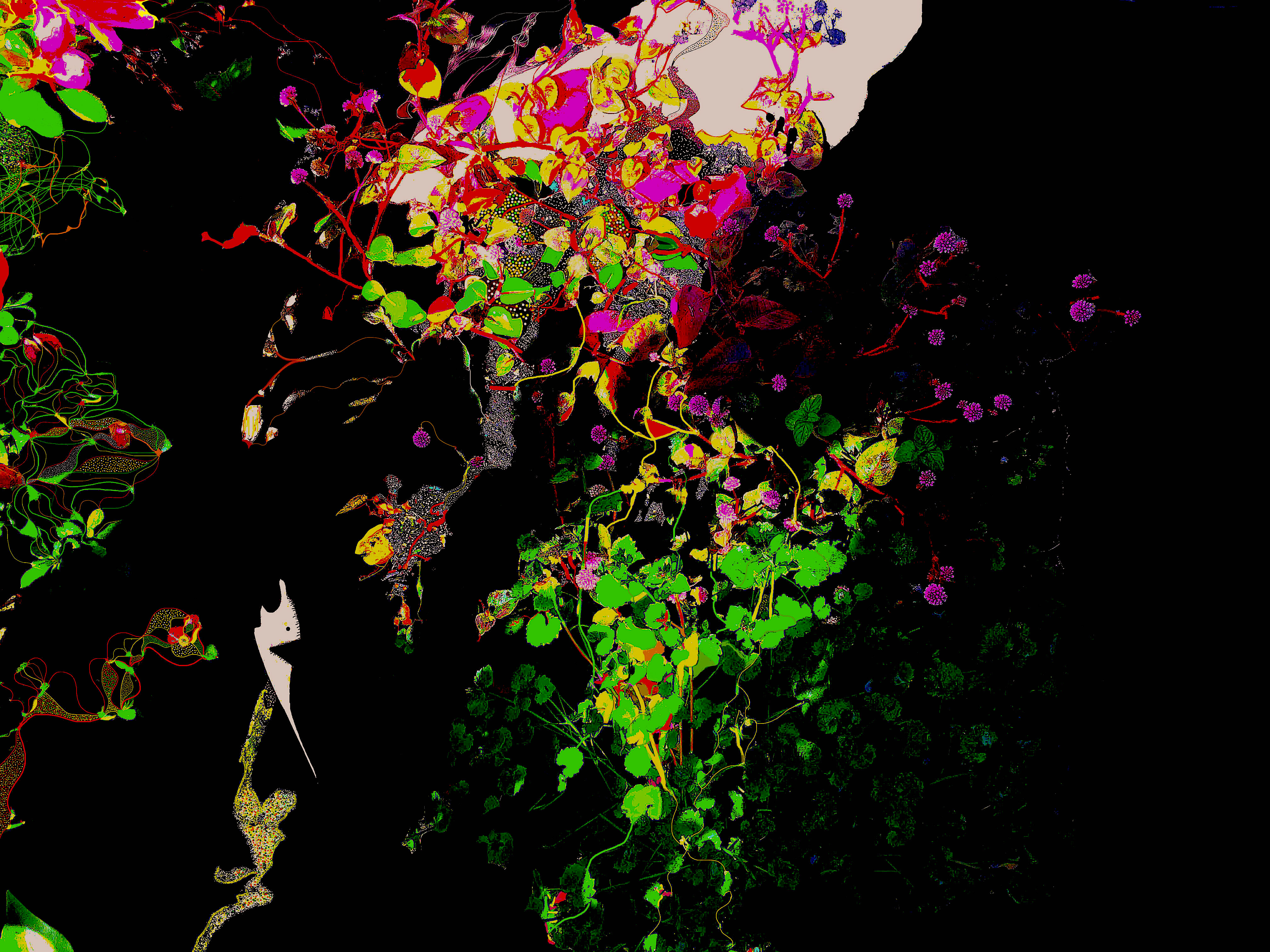 Jas_Poema1404FinalPubLuz