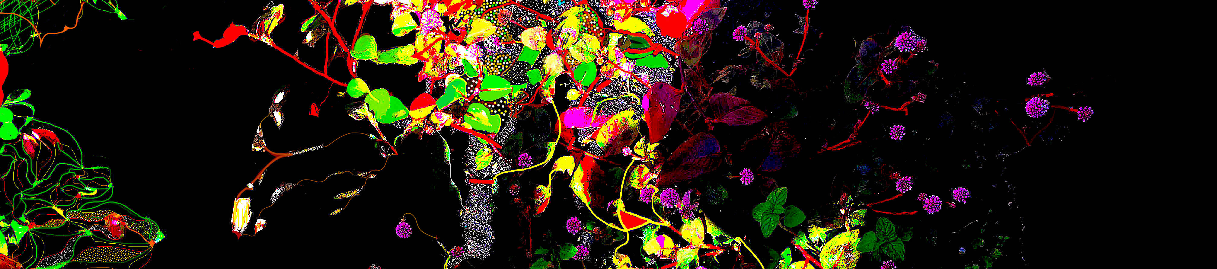 Jas_Poema1404FinalPubRec