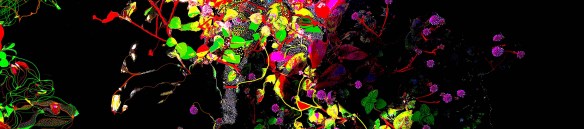 Jas_Poema1404FinalPubRec