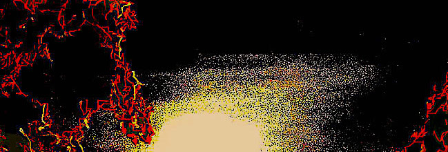 Musa030419Final04LuzRec