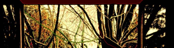 A Janela_OndeTeVejo3103FinalRecorte