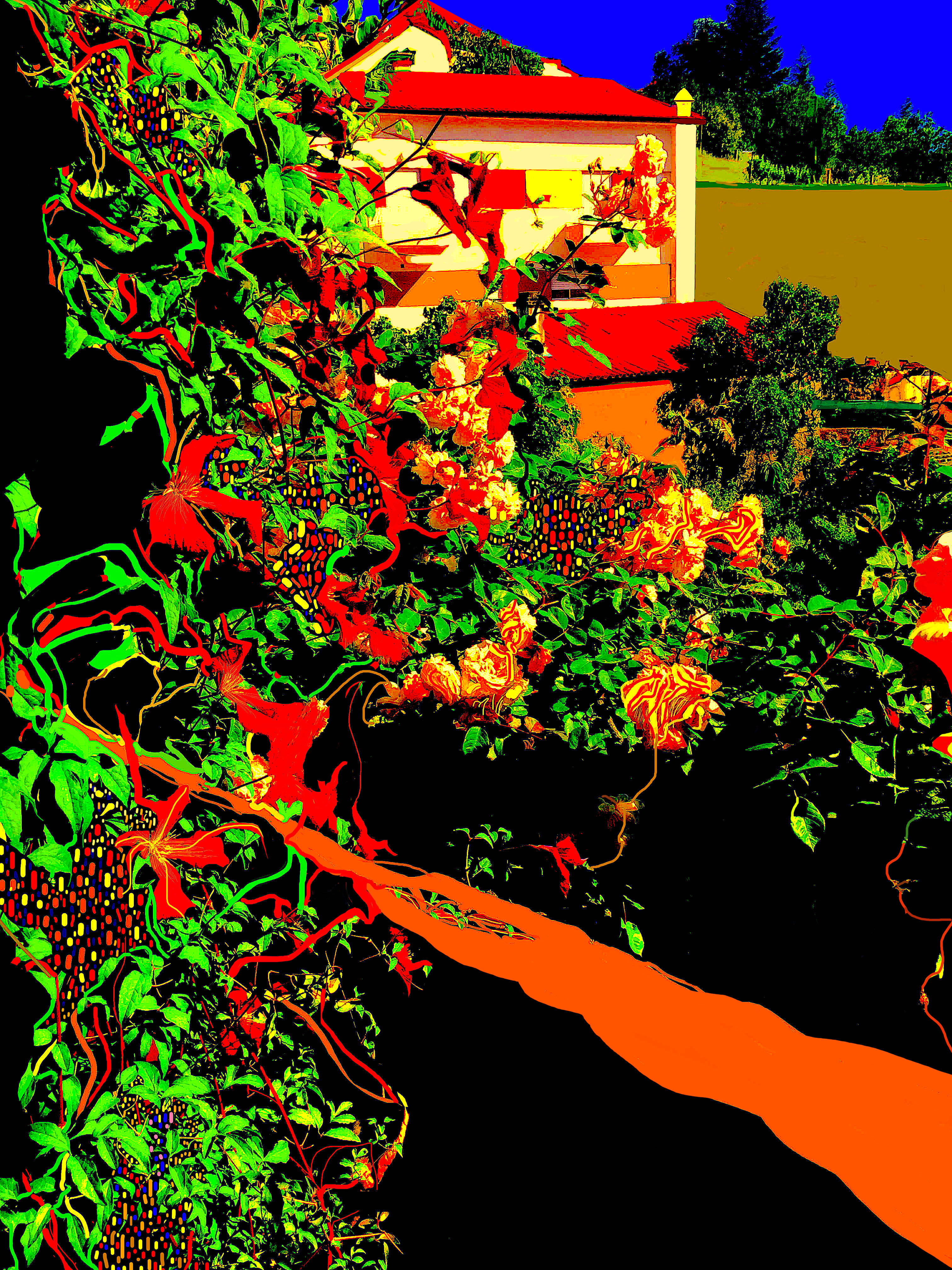 Pasargada29052019Final