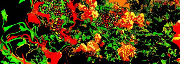 Pasargada29052019FinalRec