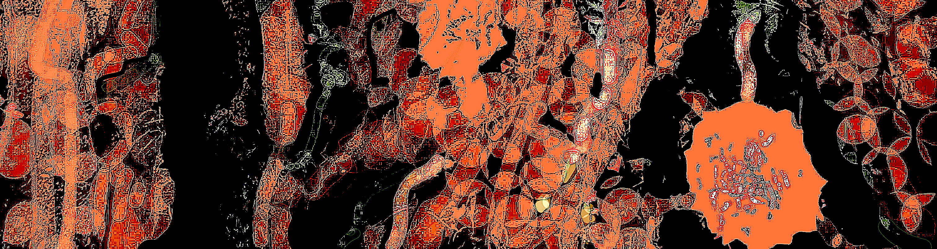 Jas_Cascata22-Exp.Rec