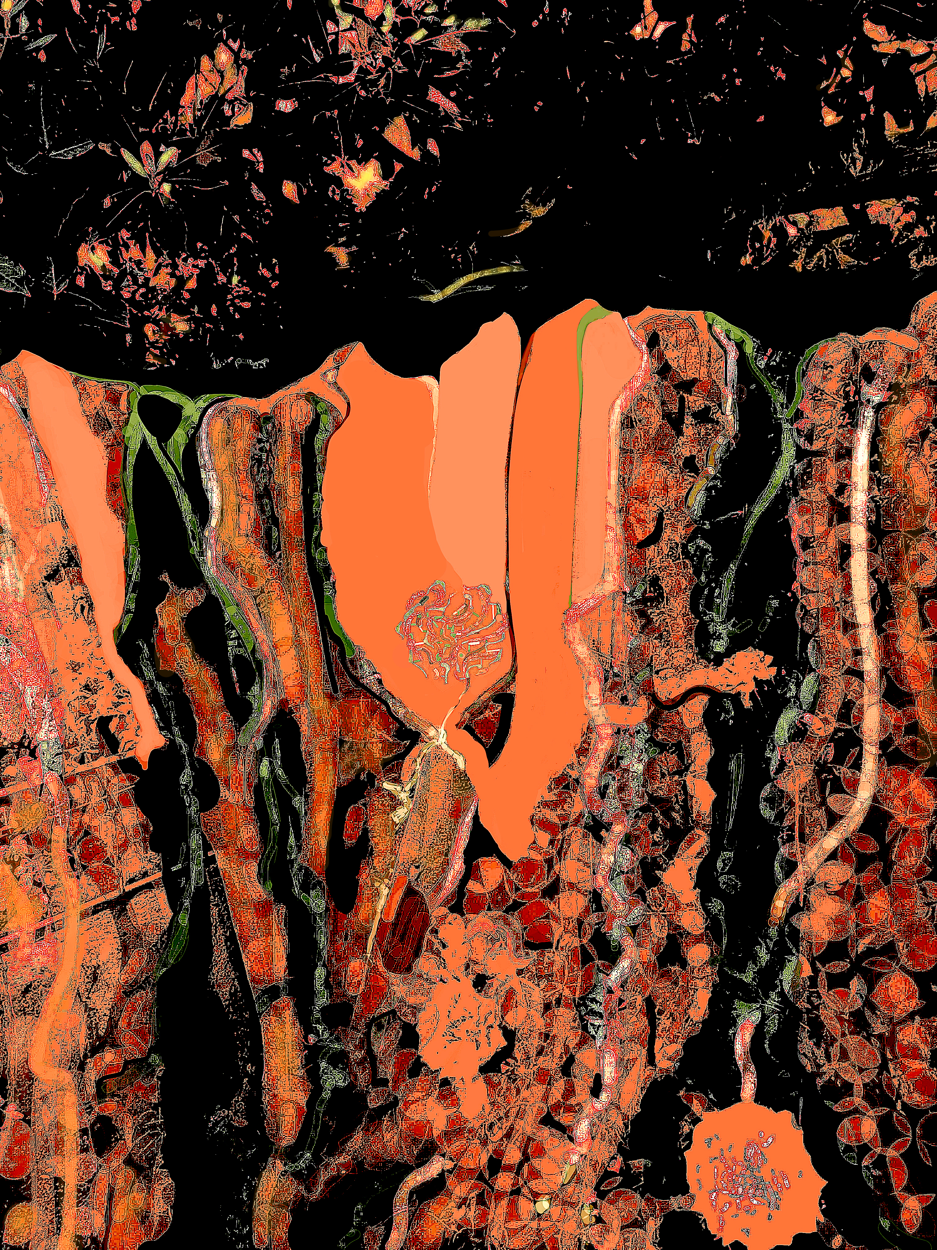 Jas_Cascata241119-Exp.