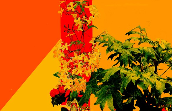 UmaCasaNoJardim_3_1006PublicadaCOR3Cop