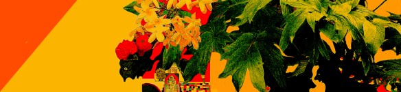 UmaCasaNoJardim_3_1006PublicadaCOR3CopR