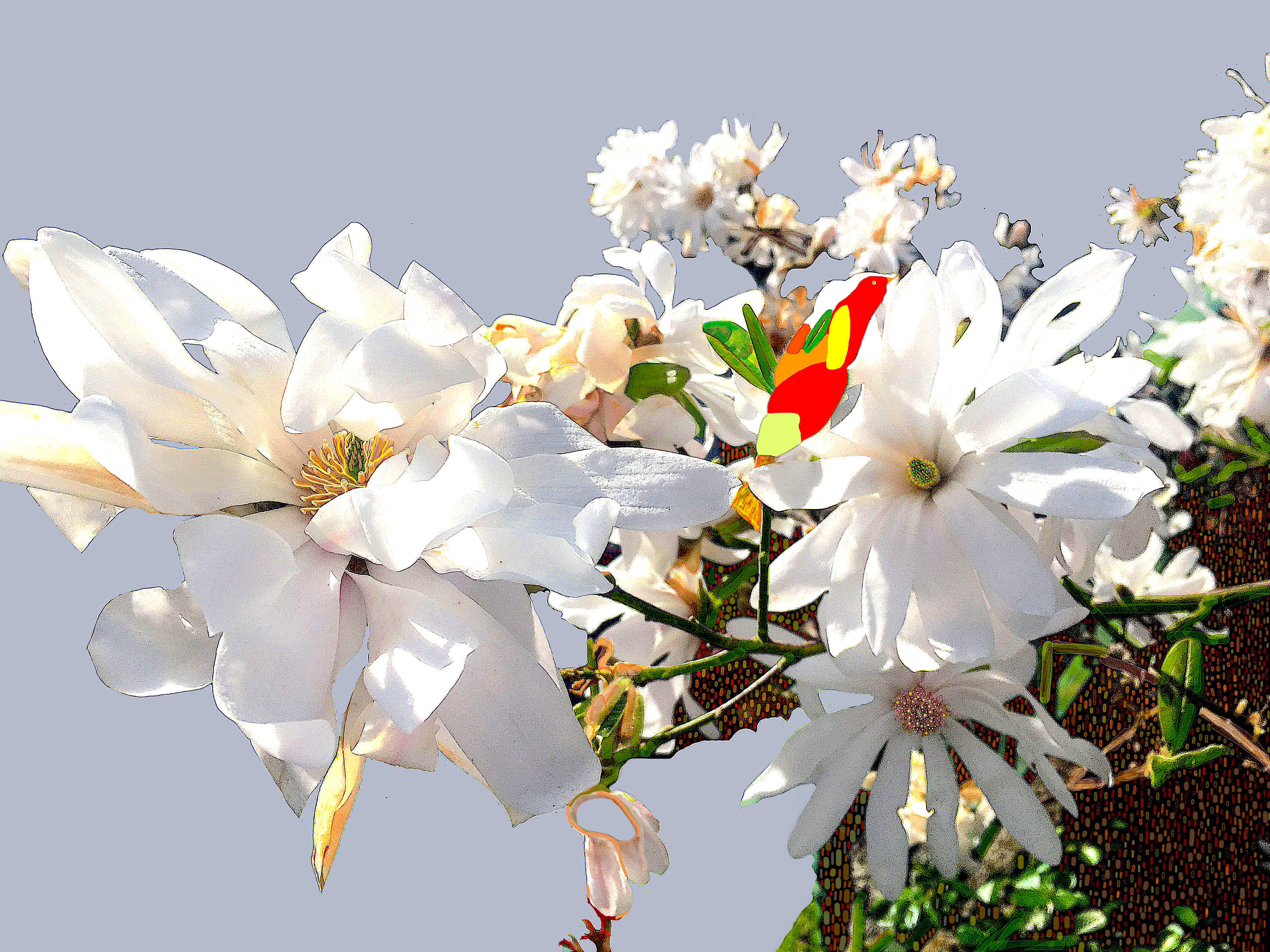 Jas_Beija_Flor150220