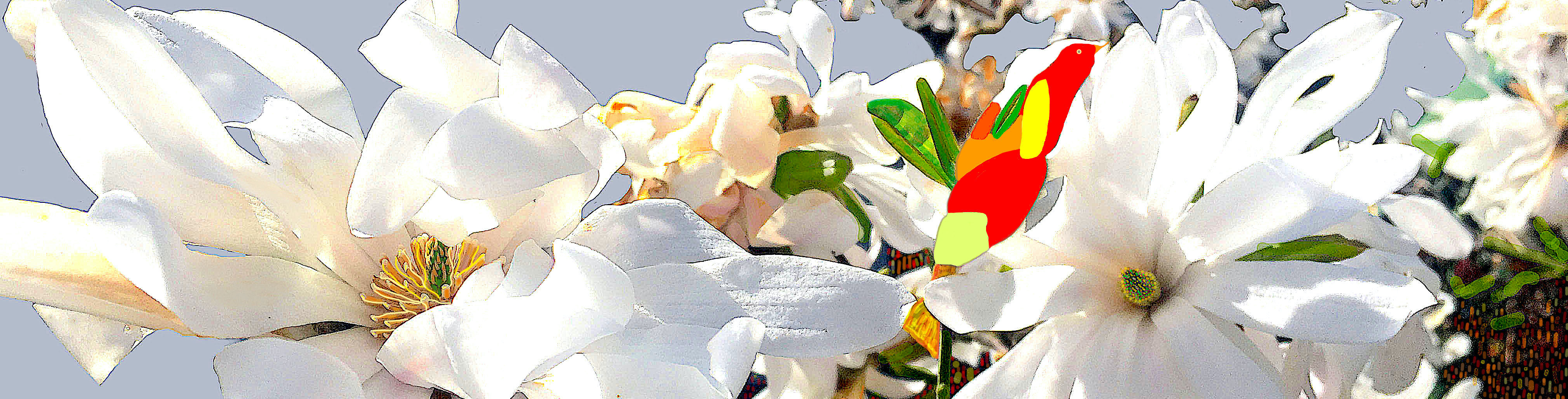 Jas_Beija_Flor150220Rec