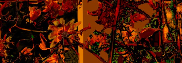 Casasnojardim2903FinalRec