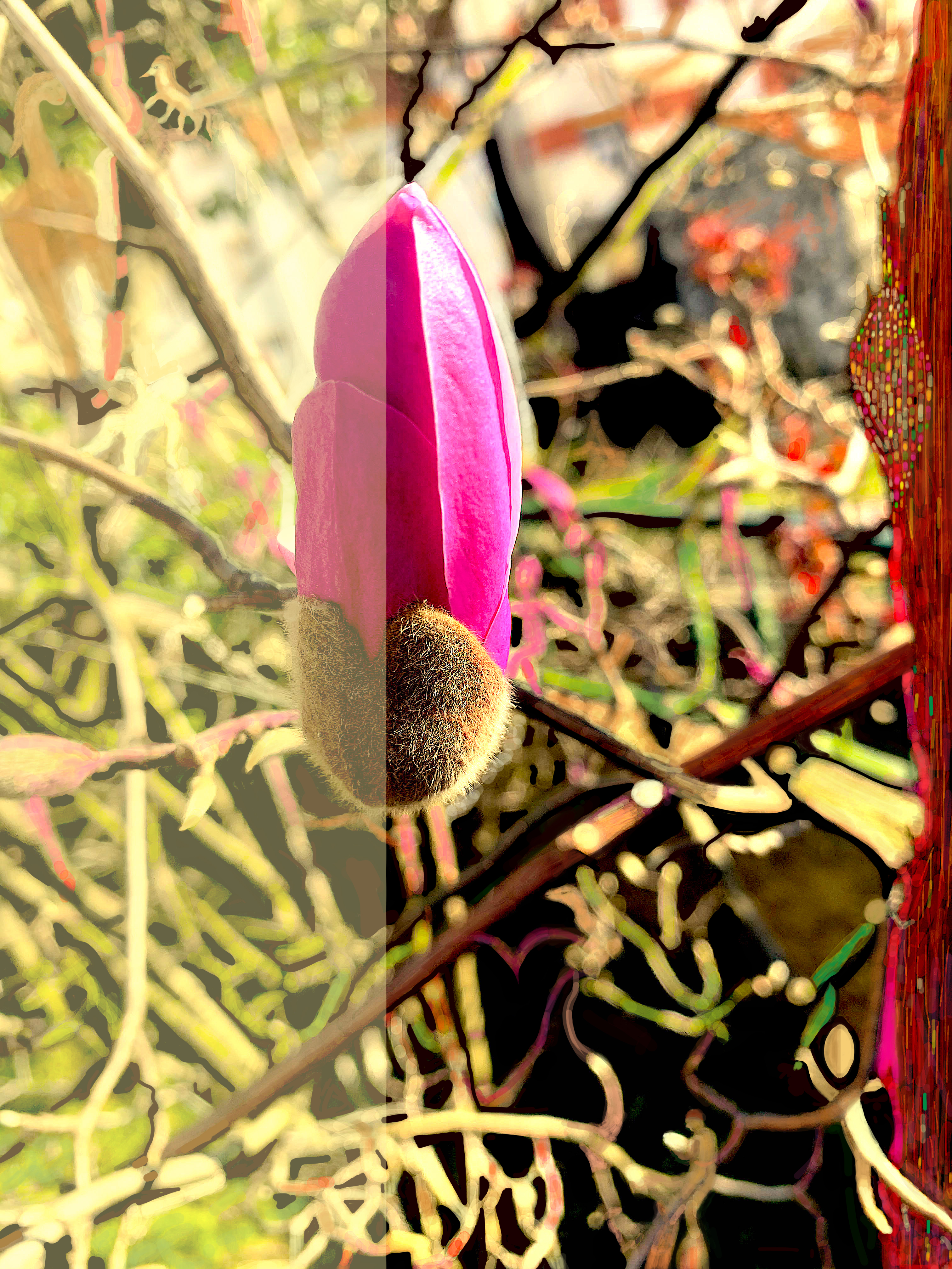 Jas_JardiimEncantado1503Transp