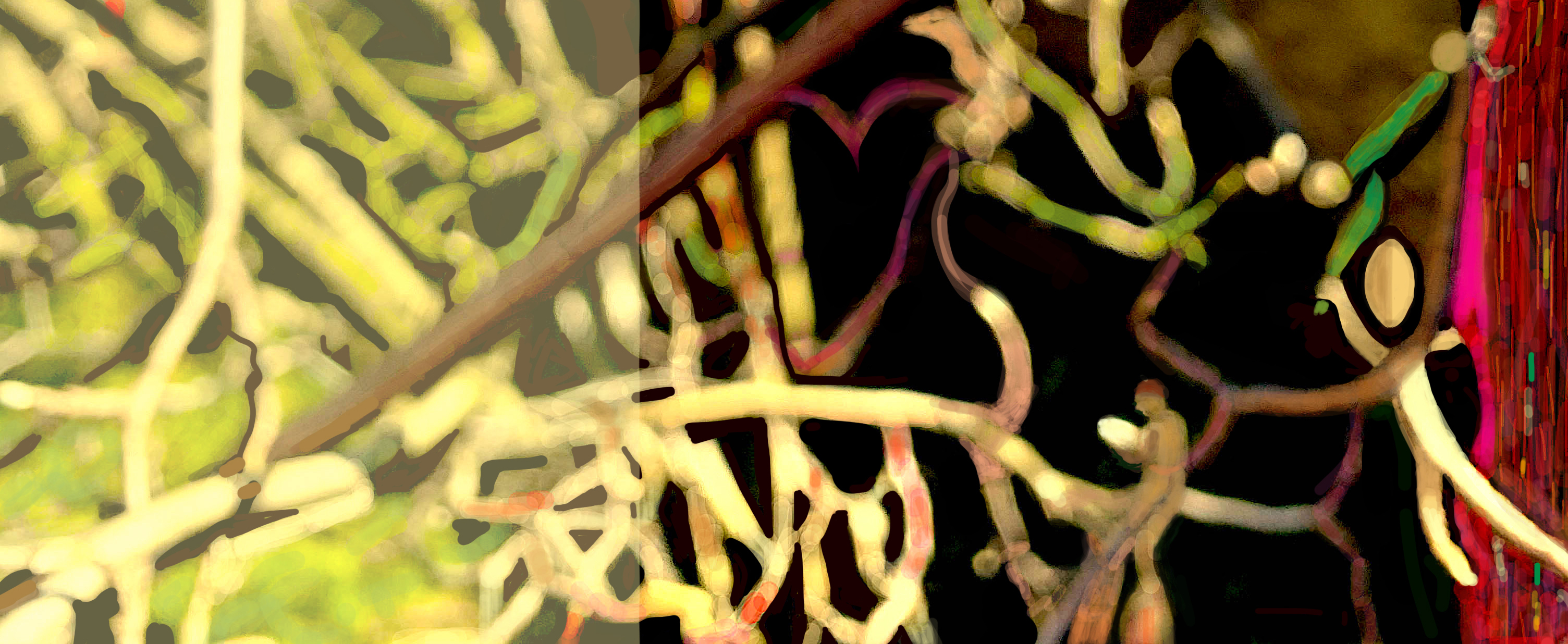 Jas_JardiimEncantado1503TranspR