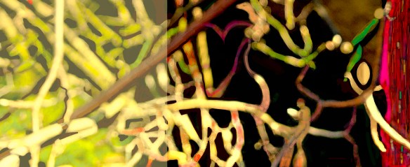 Jas_JardiimEncantado1503TranspR