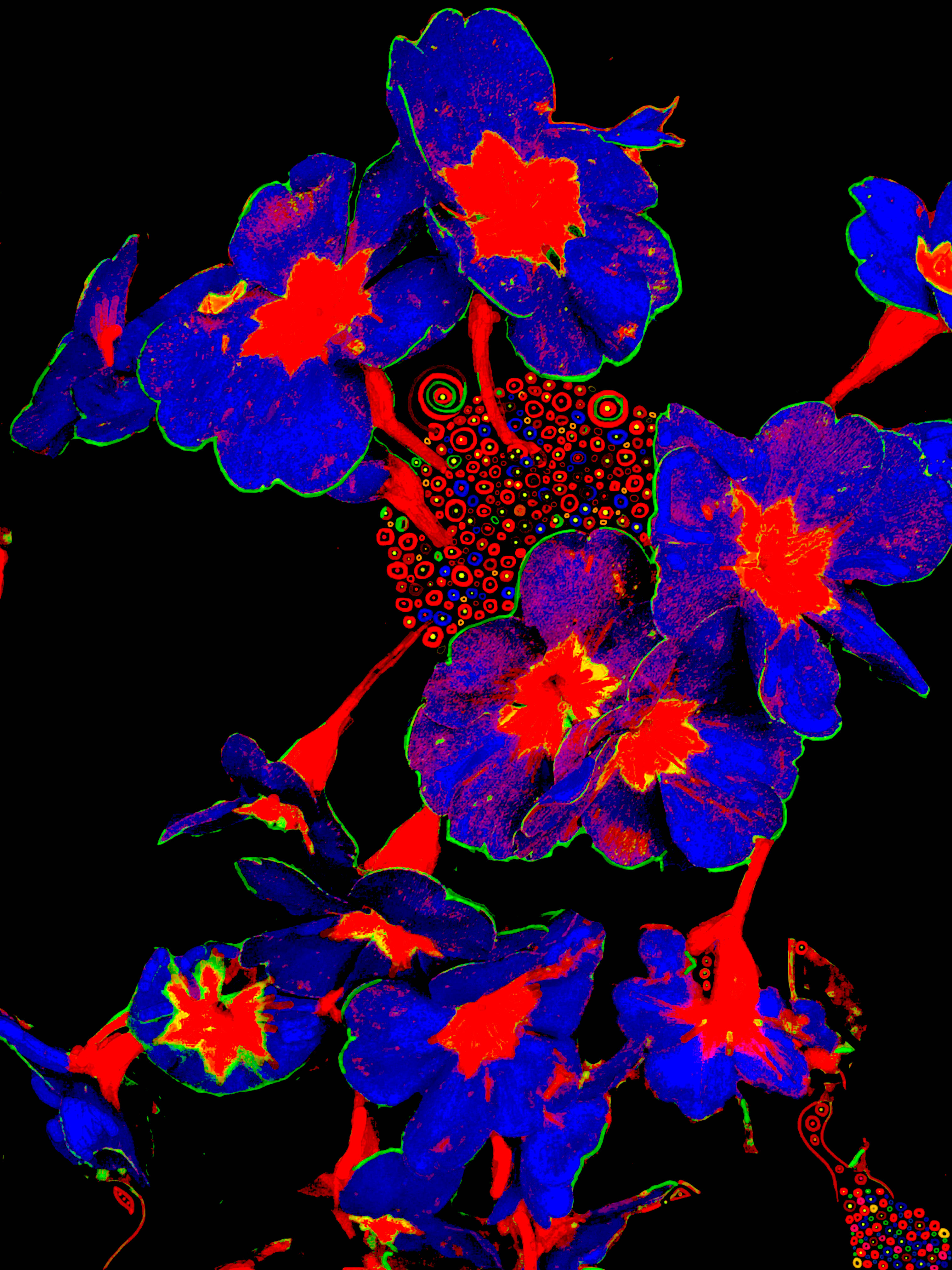 Chakra0601CorDiagnosis