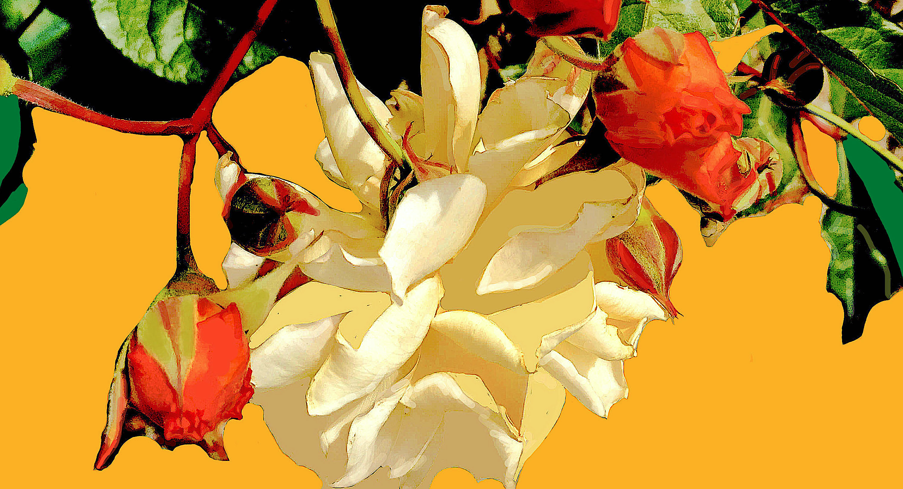 JasFioriperte-cópia