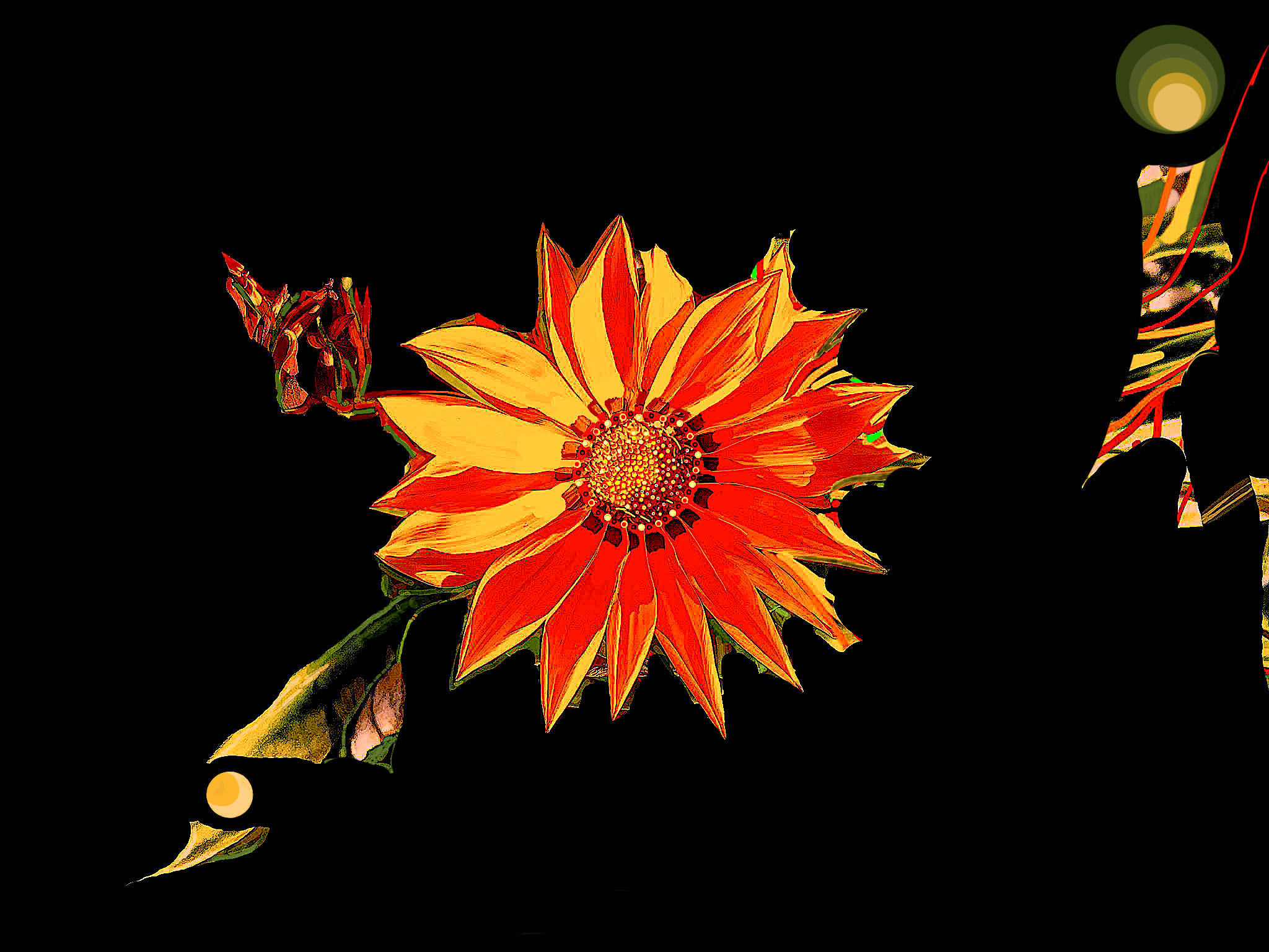 JASFleurdePapierFinal2607_Pubpsd