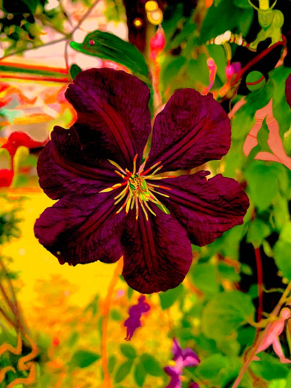 JardimAnimado27082020