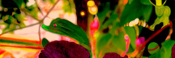 JardimAnimado27082020R