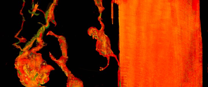 JAS_Timidez1608FinalPubReco