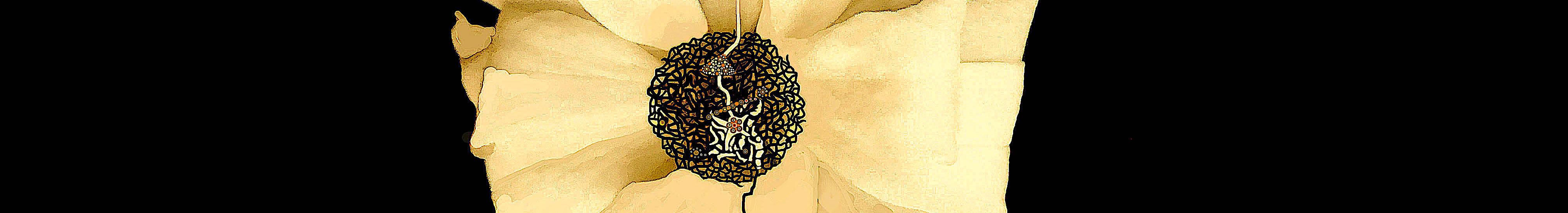 Oaurífice04102020Rec