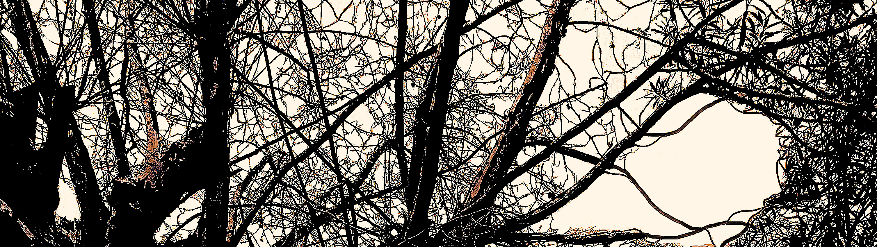 JAS2_ AJanelaNovaFinal01122020Rec