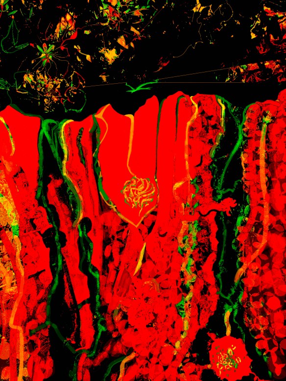 Jas_Cascata31_2021_3