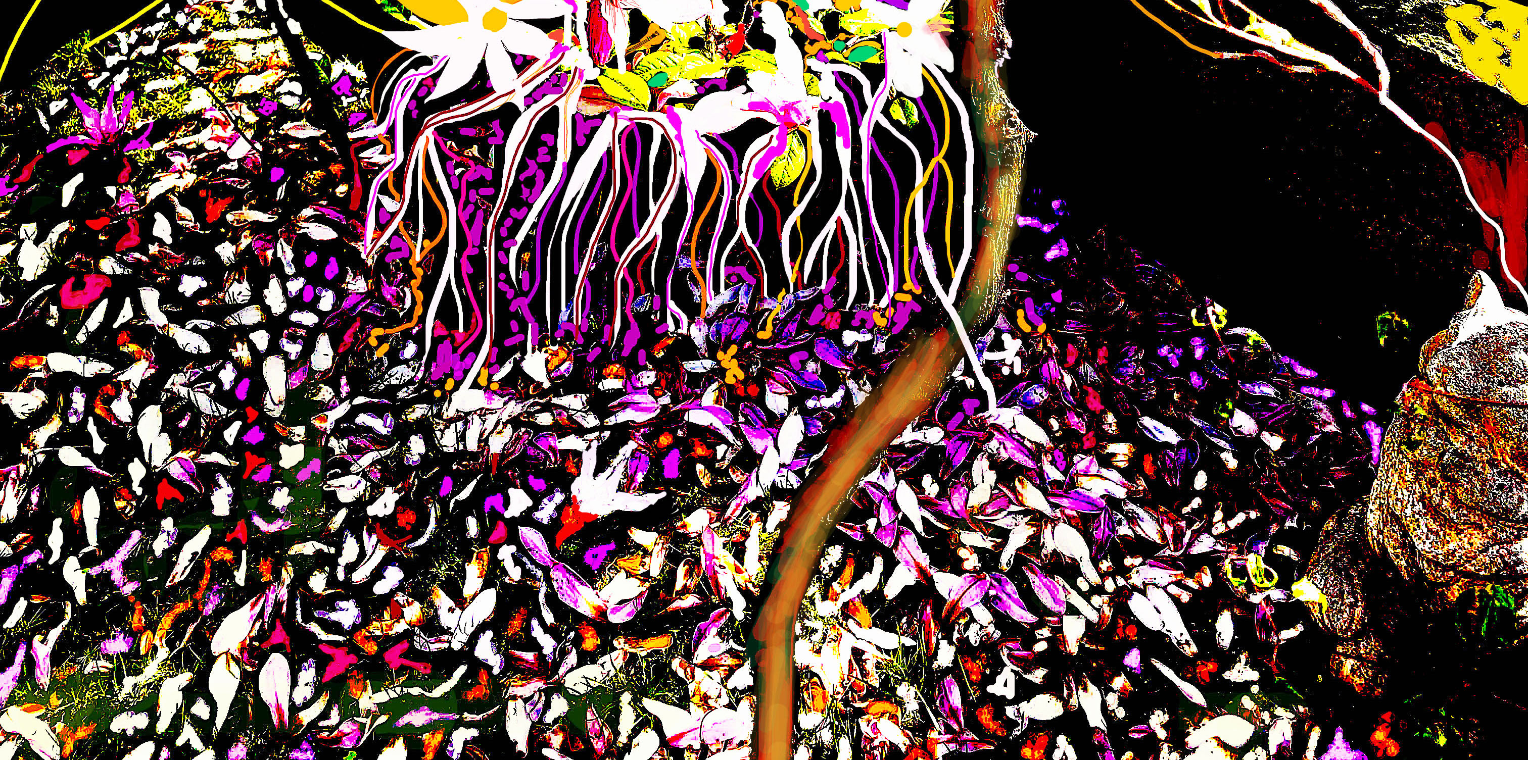 Magnolândia020521Pub-cópia