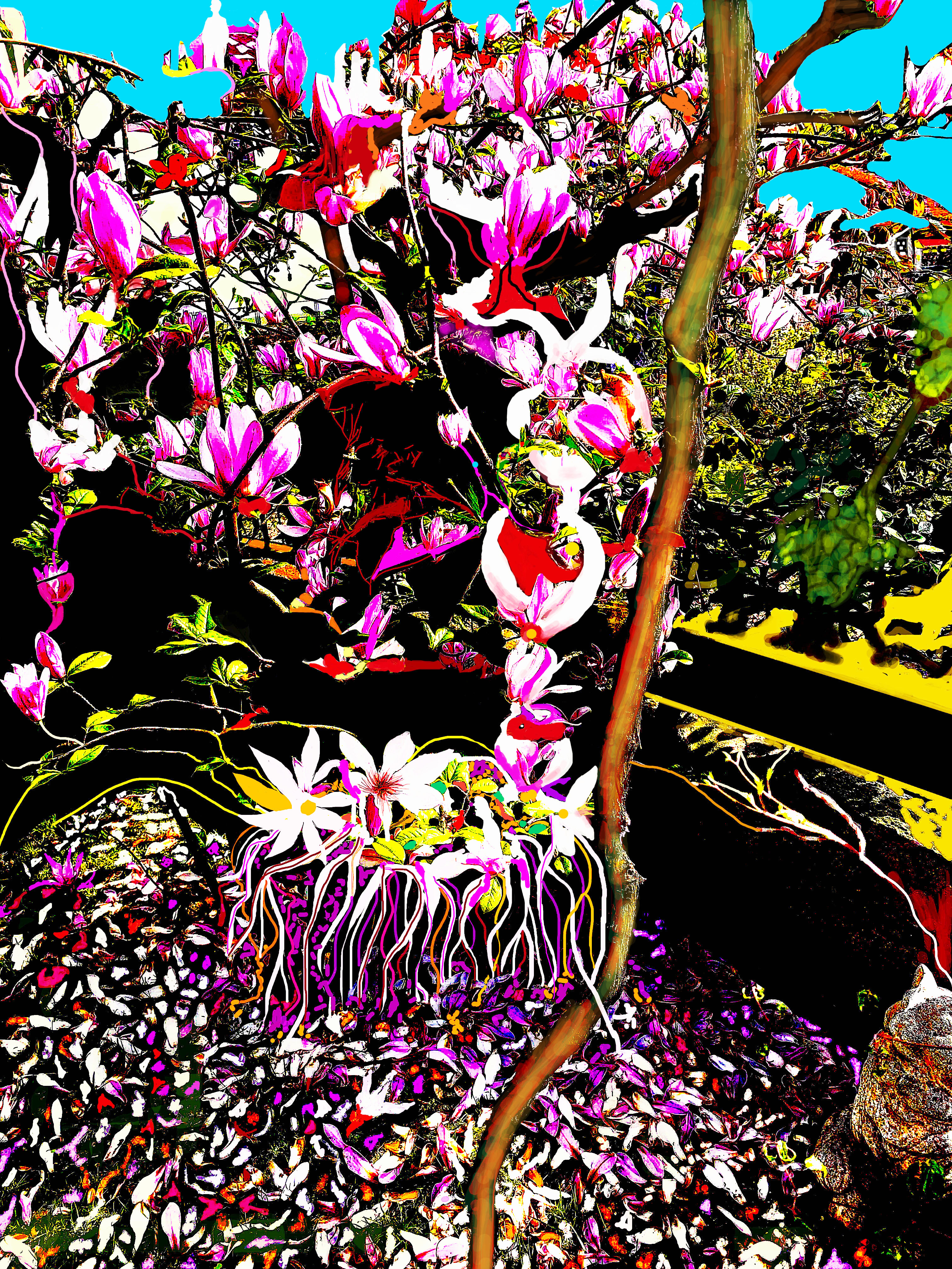 Magnolândia020521Pub