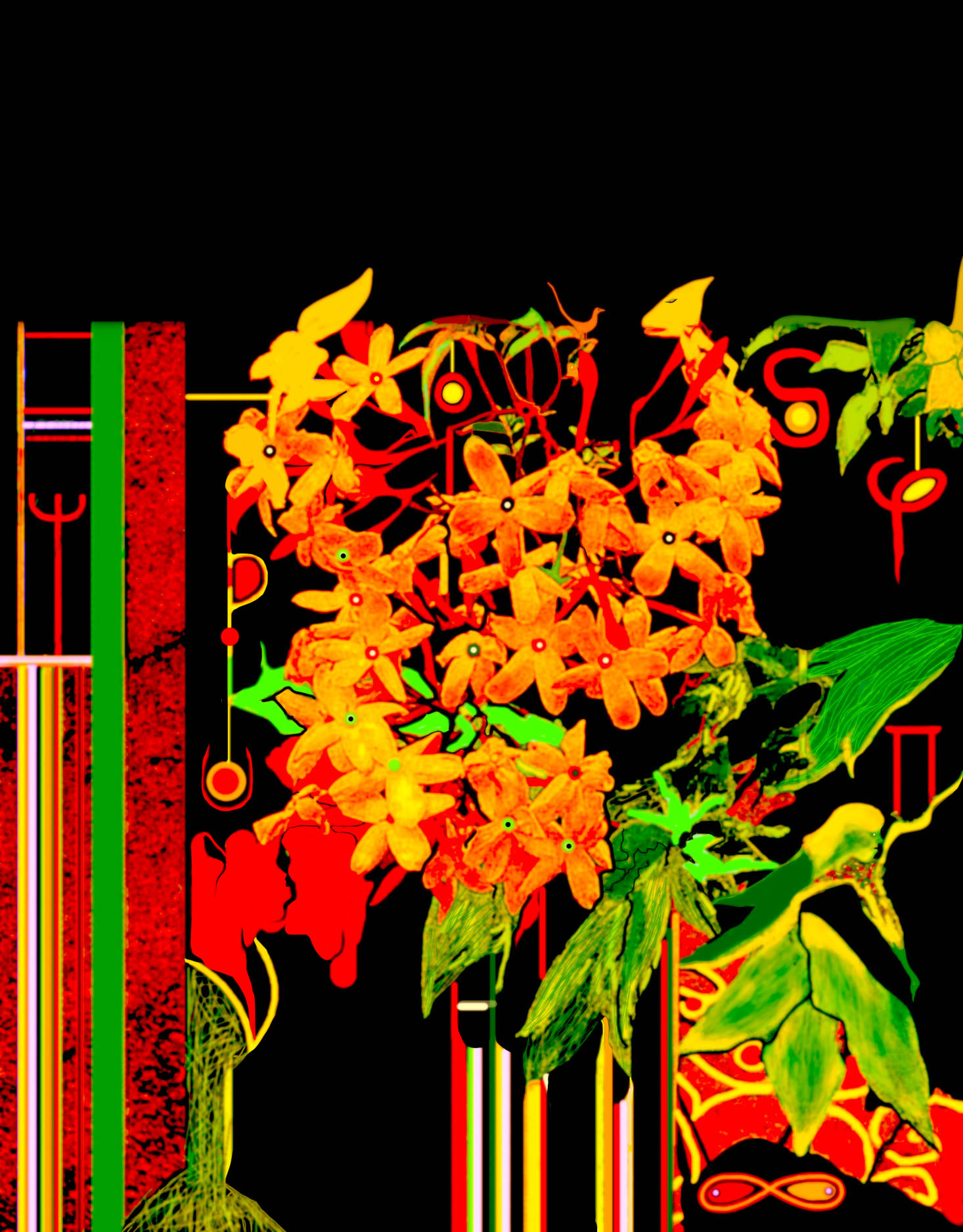 Jas_Novo_Palavras0308