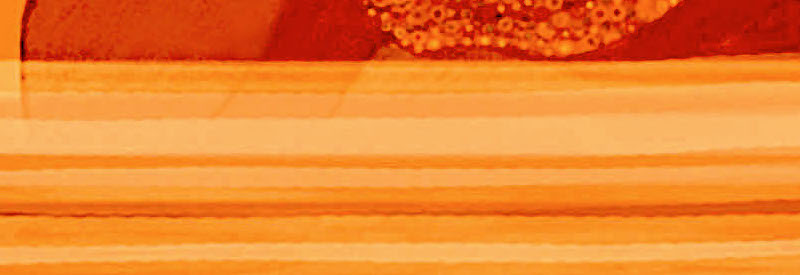 JAS18Klimt2021_Final1Rec