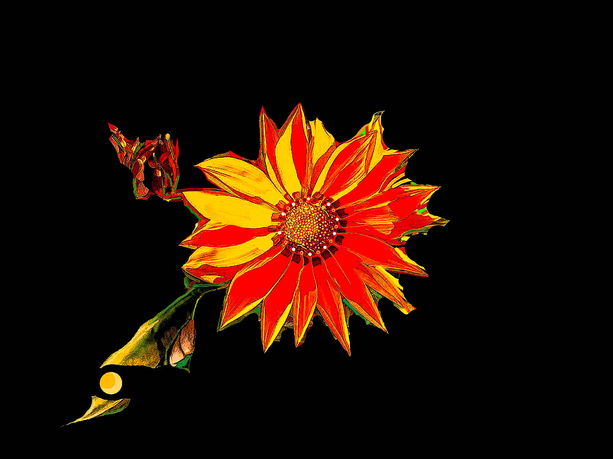 JASFleurdePapier2021