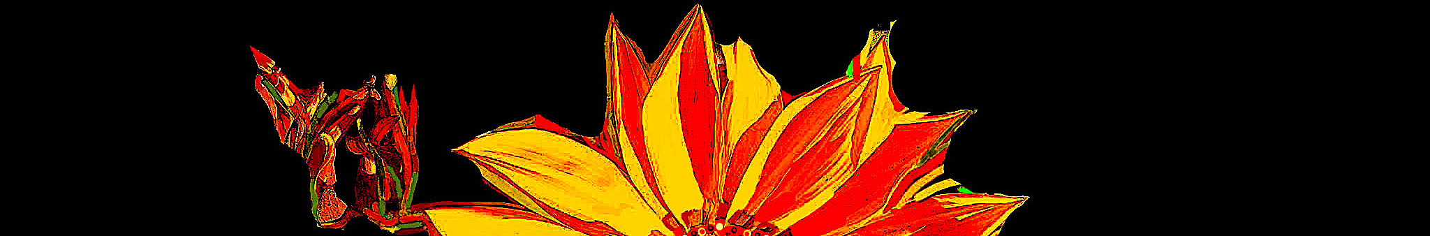 JASFleurdePapier2021Rec