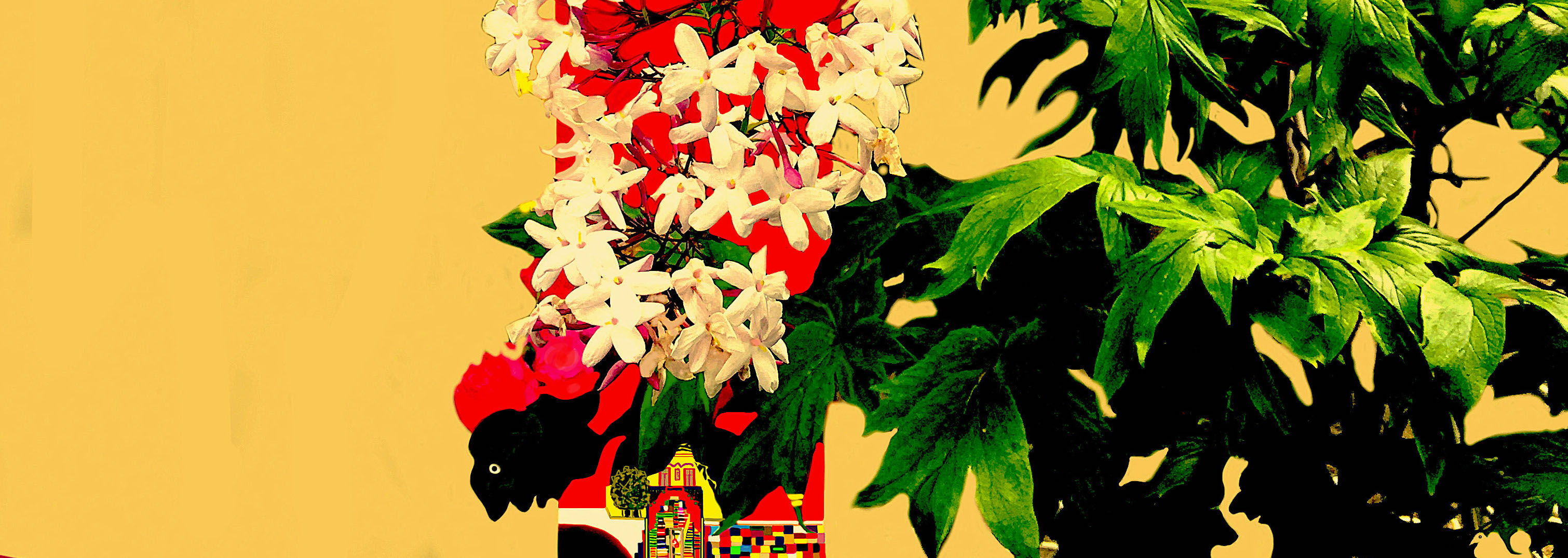 VoarNoJardim_2021_10_3Rec