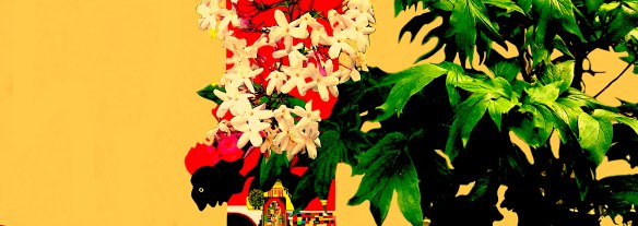 VoarNoJardim_2021_10_3Rec