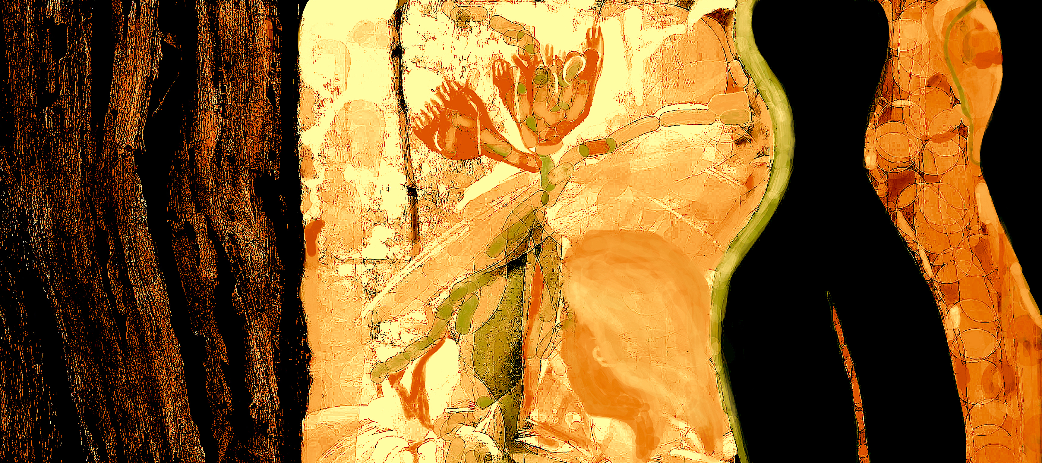 Jas_Atravessia172002PubREC