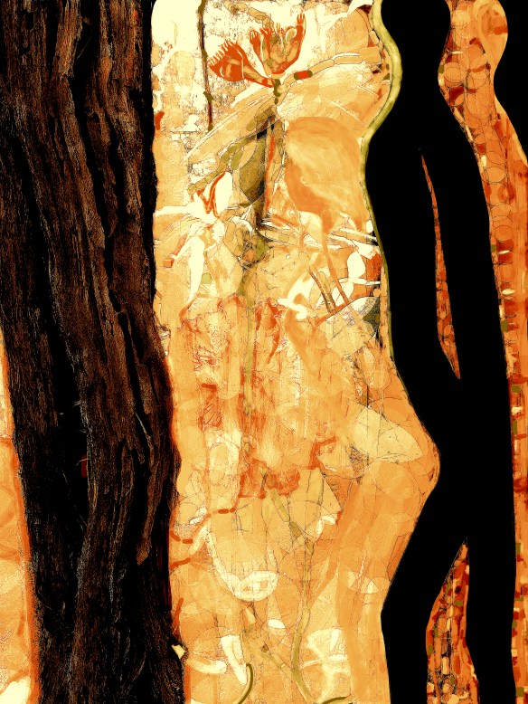 Jas_Atravessia2002Pub1