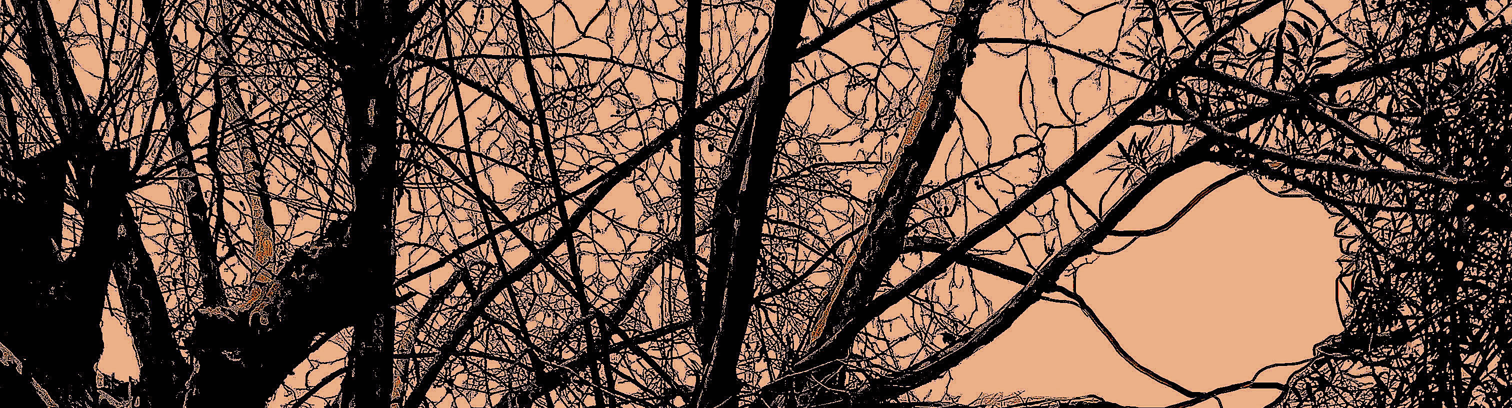 JAS_Janelal052022PoePubRec