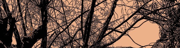 JAS_Janelal052022PoePubRec